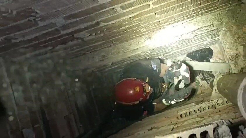 Bursa’da Yıldırım’da Yavru Kedi İtfaiyenin Mücadelesiyle Kurtarıldı