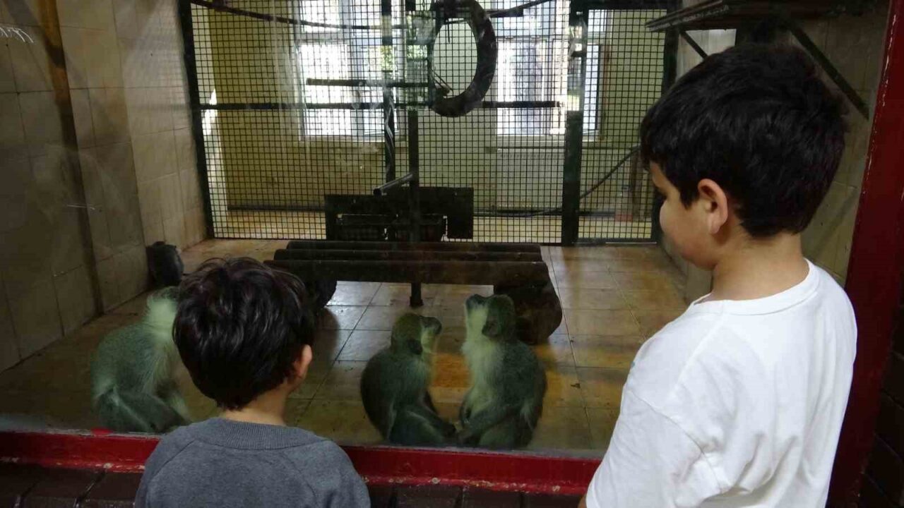 Gaziantep Doğal Yaşam Parkı, 9 günlük ara tatilde öğrencilerin ilgisini