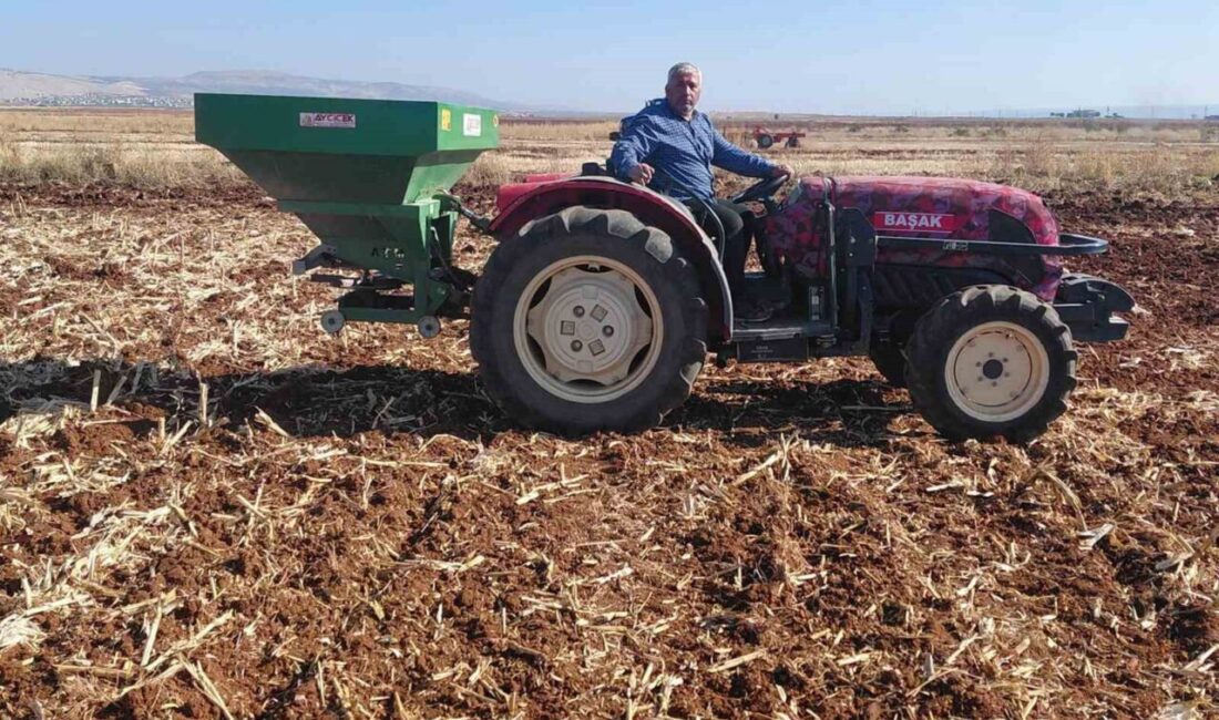 Gaziantep'in Araban ilçesinde bu yıl kuraklık nedeniyle buğday ekimi iki