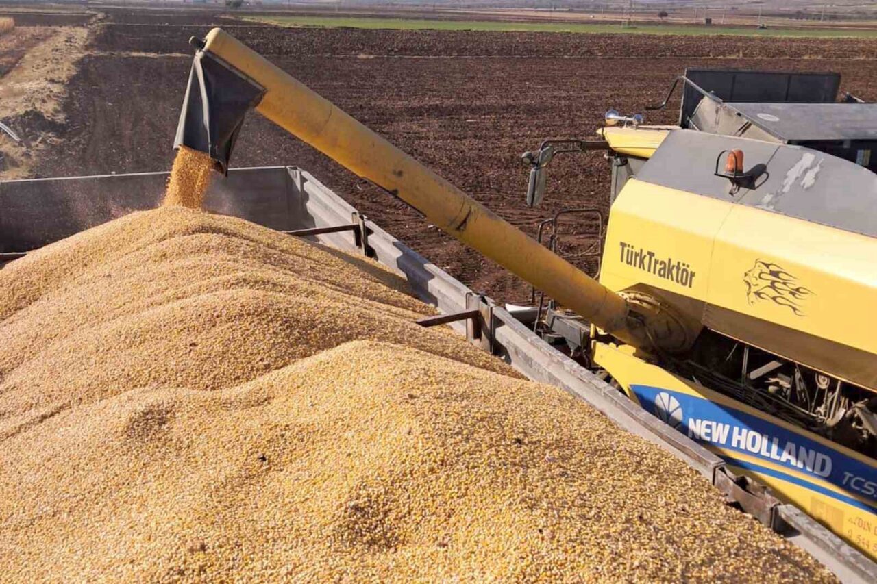 Gaziantep'in Araban ilçesinde 2025 yılı ikinci ürün silajlık mısır hasadı