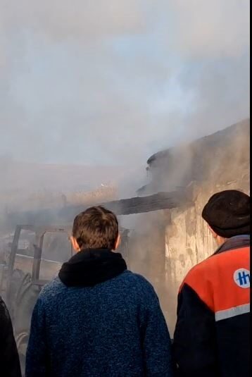 Ardahan'ın Açıkyazı köyünde Oğuzhan Çelik’e ait bir ahırda meydana gelen