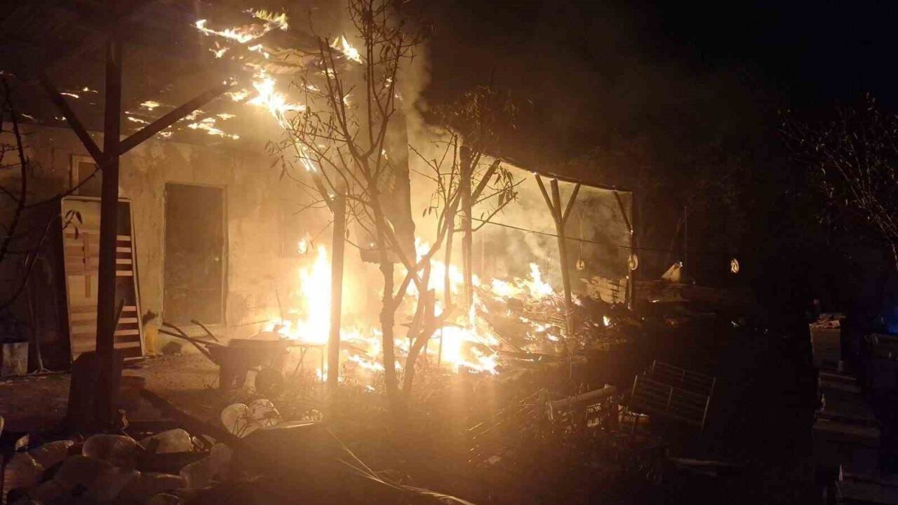 Bilecik'in Örenköy Köyü'nde Mustafa T.'ye ait arı kovanları bulunan sundurmada