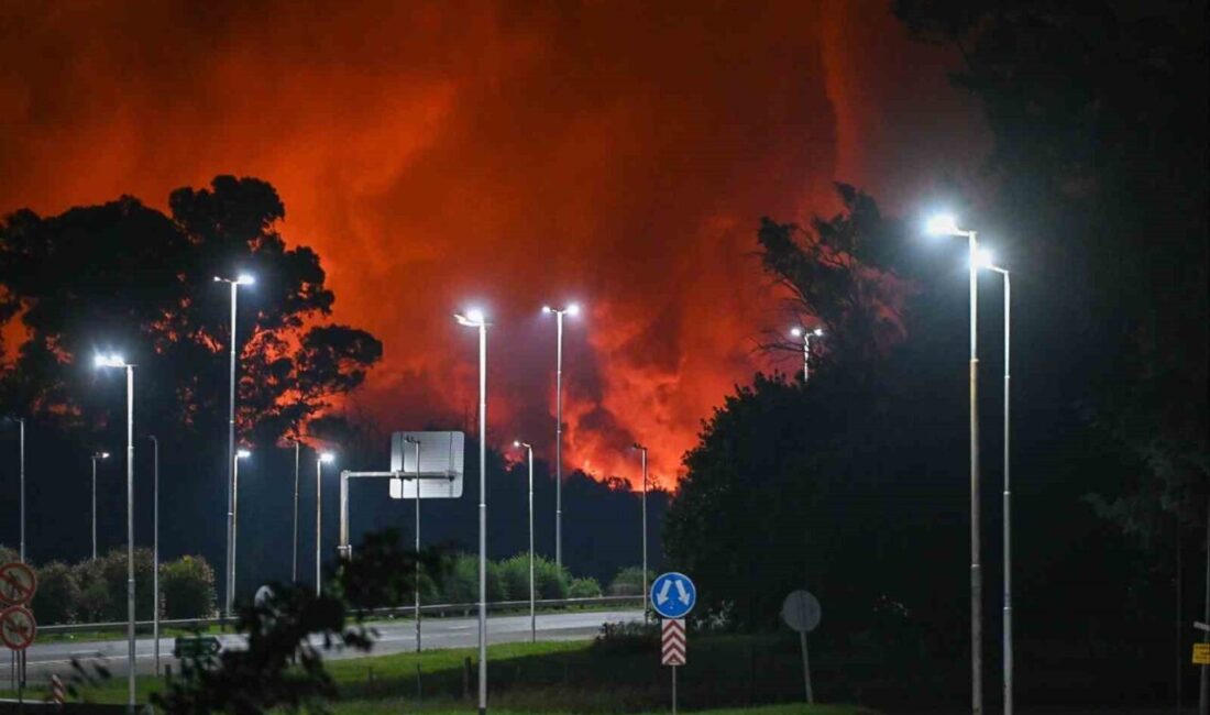Ezeiza’daki Sanayi Bölgesinde Meydana Gelen Patlamada 22 Kişi Yaralandı Ezeiza kentinde bir sanayi bölgesinde meydana gelen patlamada 22 kişi