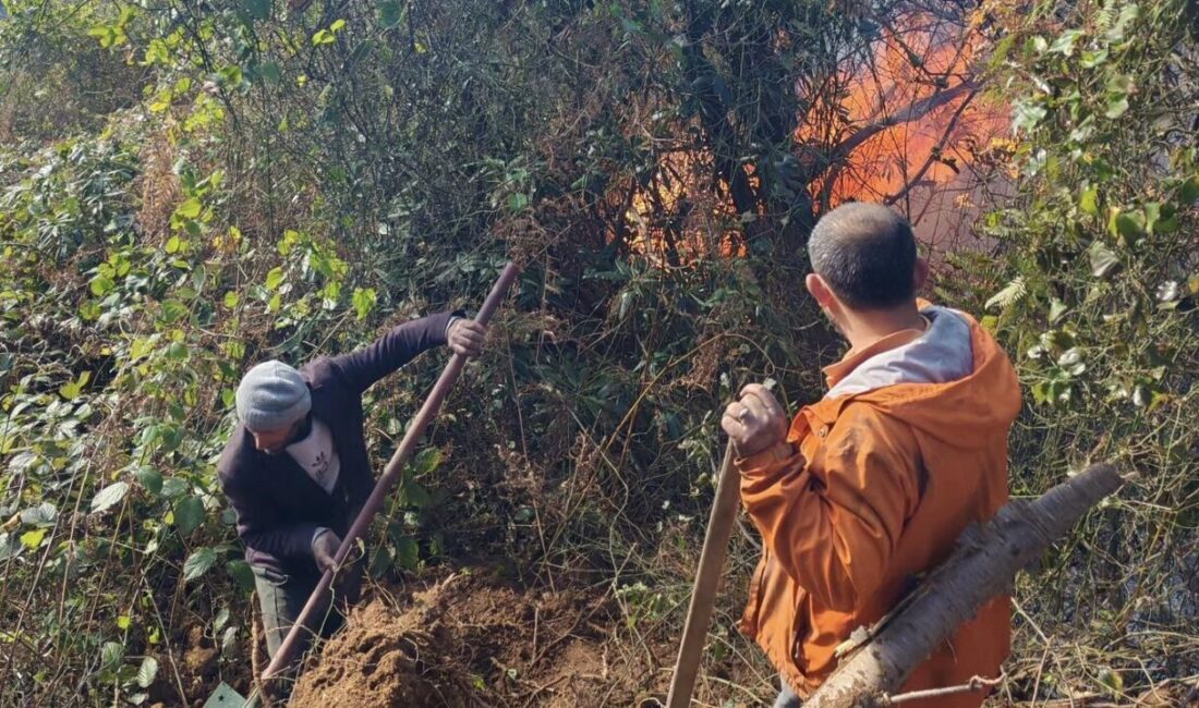 Artvin'in Hopa ilçesinde sabah saatlerinde başlayan orman yangını, rüzgarın etkisiyle