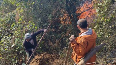 Artvin'in Hopa ilçesinde sabah saatlerinde başlayan orman yangını, rüzgarın etkisiyle