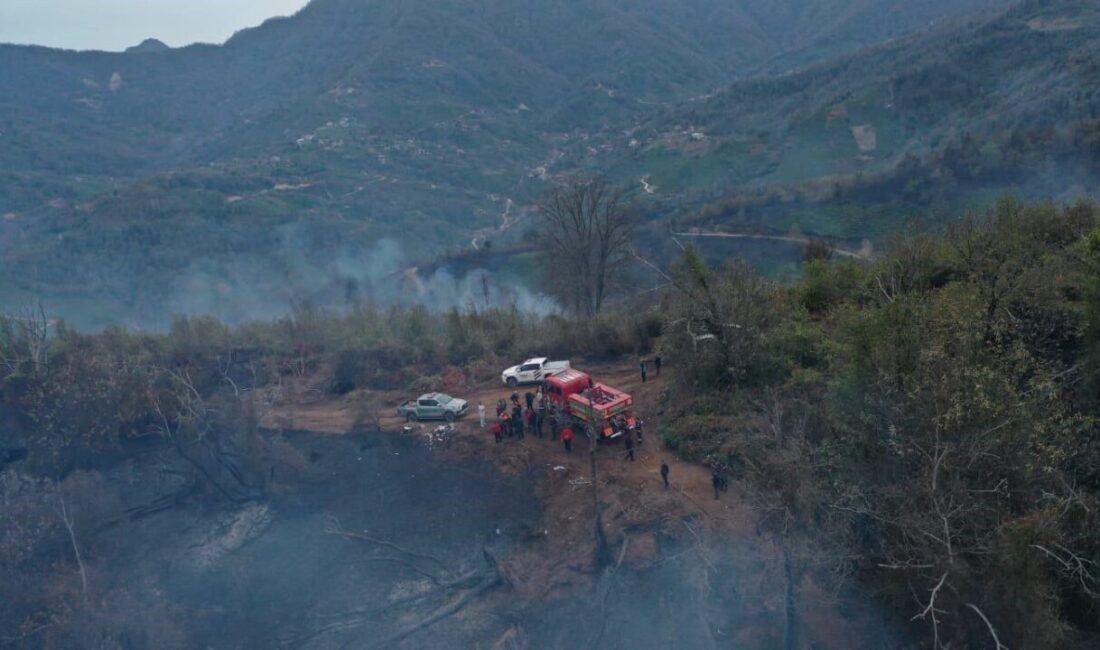 Artvin Valisi Turan Ergün, Hopa'daki orman yangınının kısmen kontrol altına
