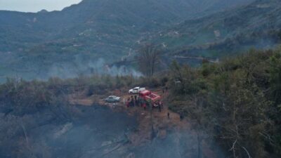 Artvin Valisi Turan Ergün, Hopa'daki orman yangınının kısmen kontrol altına