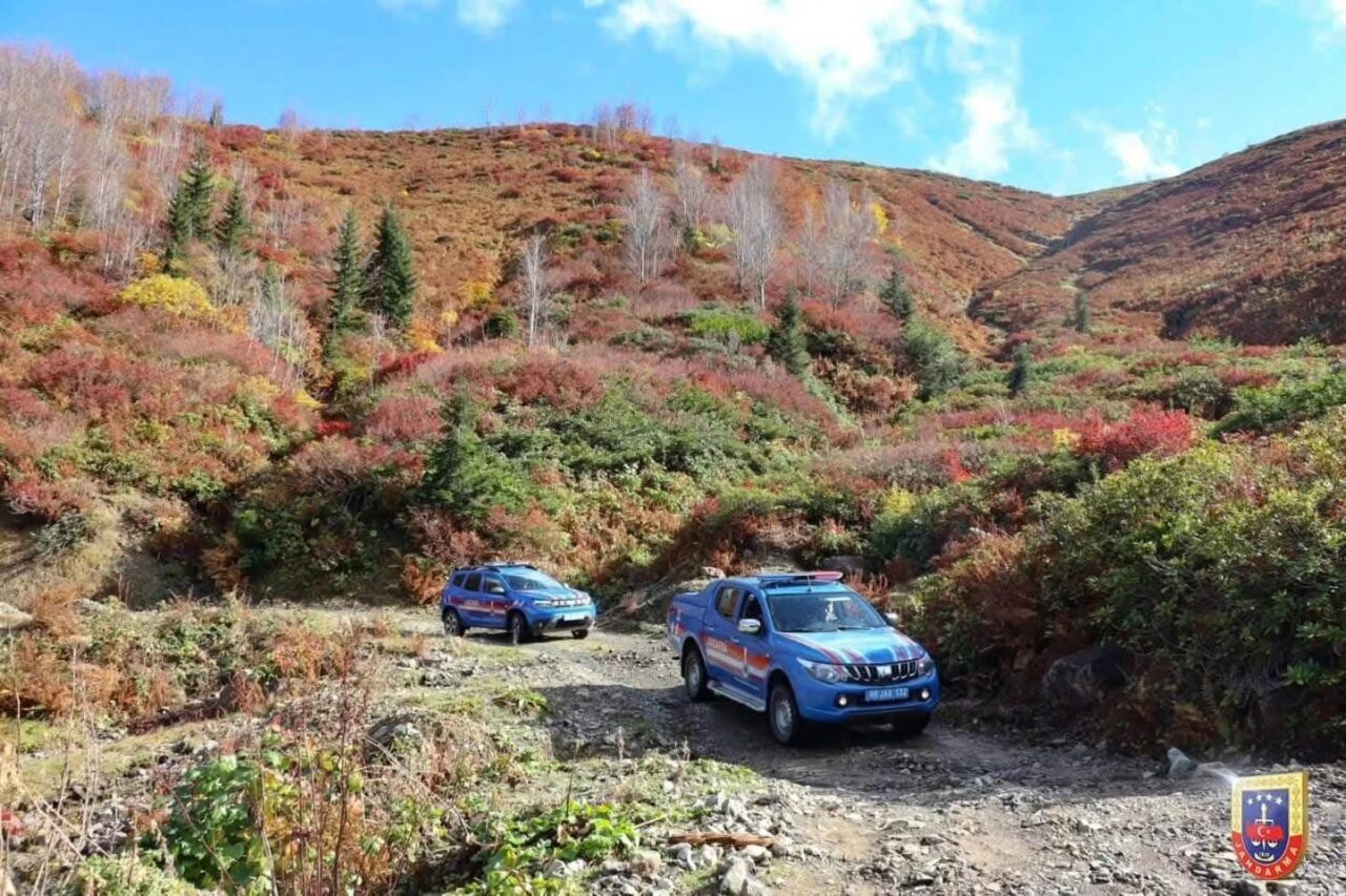 Artvin'de 31 Ekim-7 Kasım 2025 tarihleri arasında yapılan operasyonlarda, çeşitli