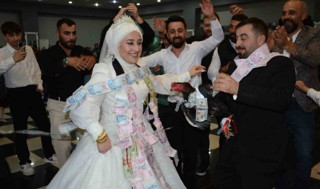 Artvin’de Düğünde Damada Hediye Olarak Canlı Tavuk ve Horoz Sunuldu Artvin'de, Aslıhan ve Hasan Badur'un düğününde damadın arkadaşları, Tayland'dan getirdikleri