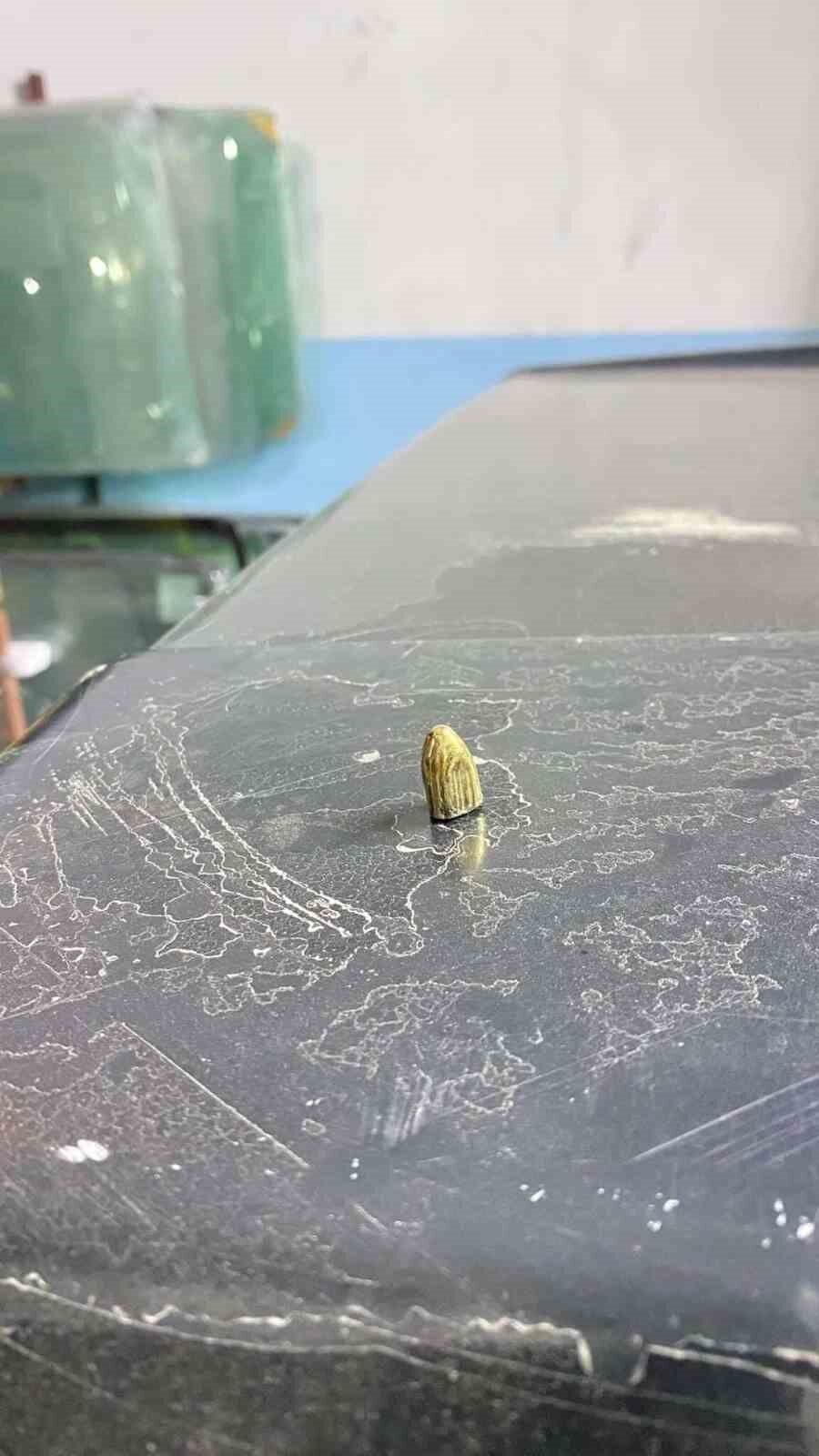 Artvin'in Hopa ilçesinde, park halindeki araca isabet eden maganda kurşunu,