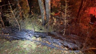 Artvin'in Ortaköy Çalışkanlar Mahallesi'nde çıkan ziraat alanındaki yangın, Orman Bölge