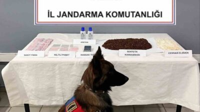 Afyonkarahisar'da yapılan operasyonda, 700 gram uyuşturucu madde olarak değerlendirilen tütünle