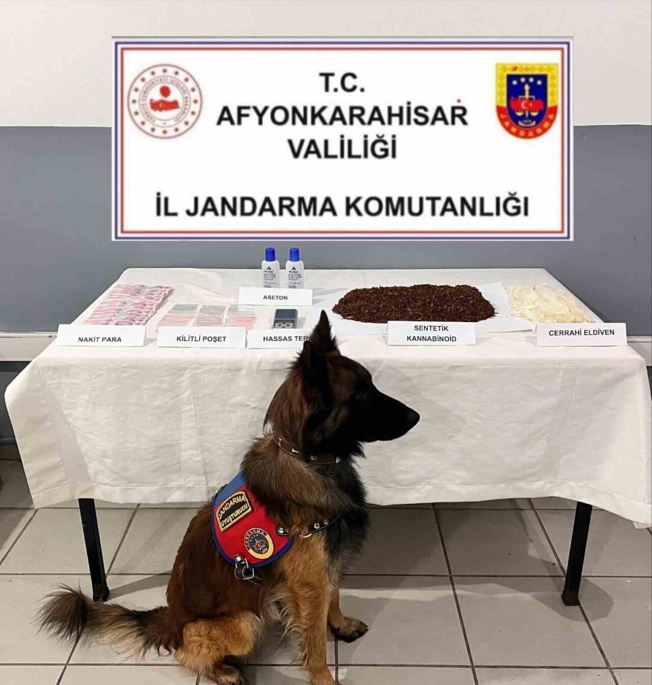 Afyonkarahisar’da Uyuşturucu İle Yakalanan İki Şahıs Tutuklandı