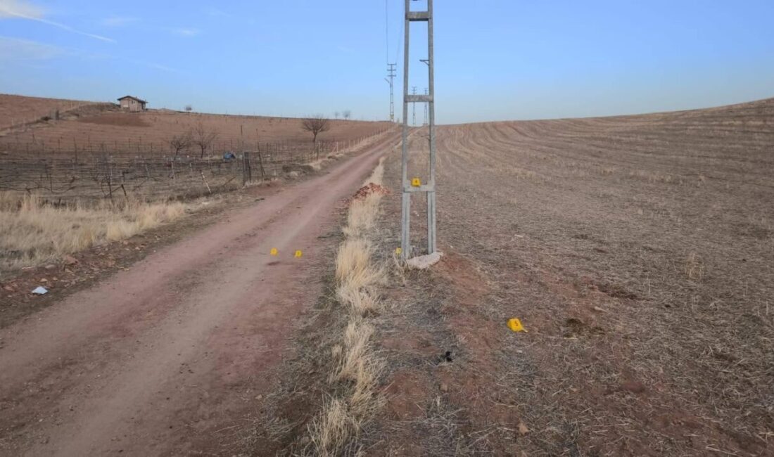 Kırıkkale’nin Karacaali köyünde, Emrah Kavlak (46) atıyla gezinti yaparken elektrik