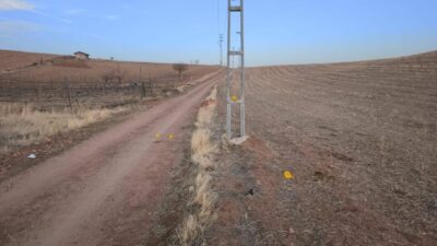 Kırıkkale’nin Karacaali köyünde, Emrah Kavlak (46) atıyla gezinti yaparken elektrik