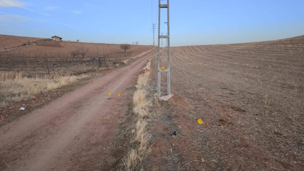 Kırıkkale’nin Karacaali köyünde, Emrah Kavlak (46) atıyla gezinti yaparken elektrik