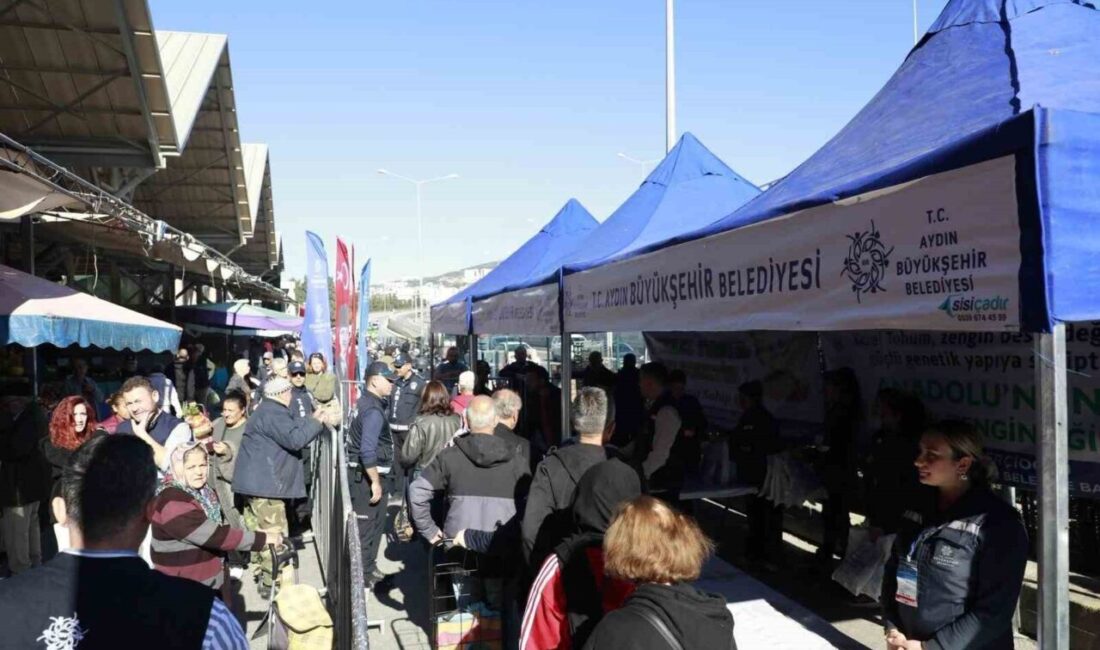 Aydın Büyükşehir Belediyesi, Özlem Çerçioğlu'nun öncülüğünde Kuşadası'nda ata tohumlarından üretilen