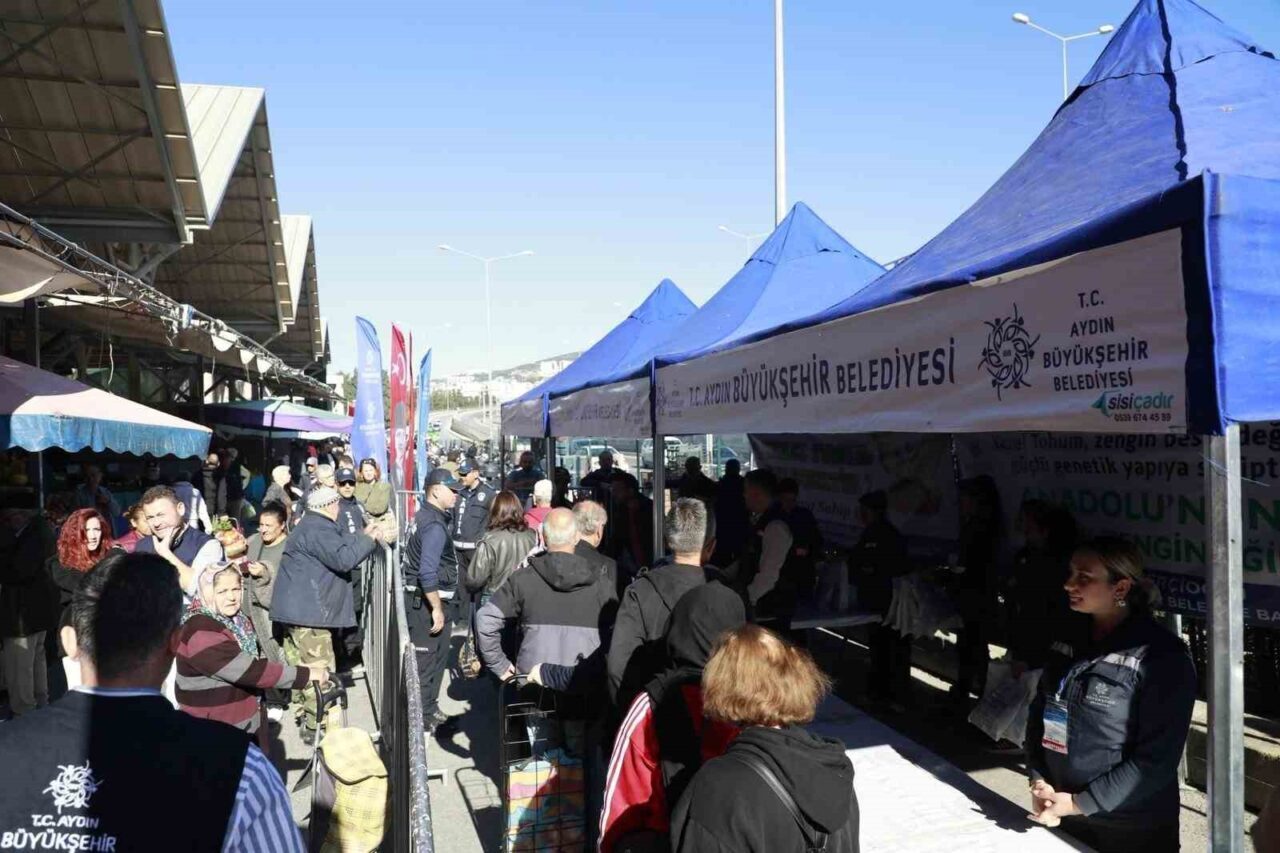 Aydın Büyükşehir Belediyesi, Özlem Çerçioğlu'nun öncülüğünde Kuşadası'nda ata tohumlarından üretilen