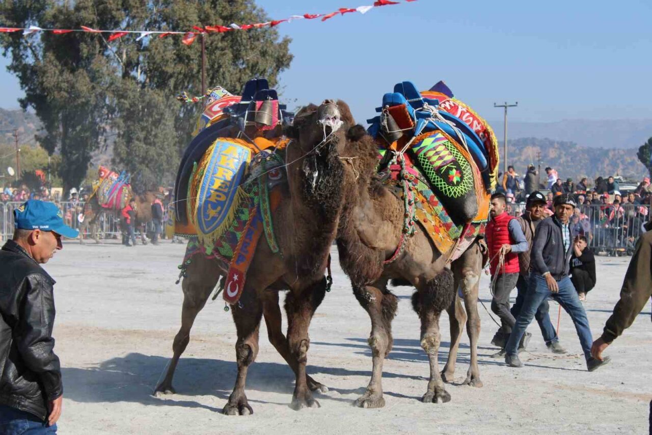 Aydın Valiliği, il genelinde etkili olan şap hastalığı nedeniyle deve