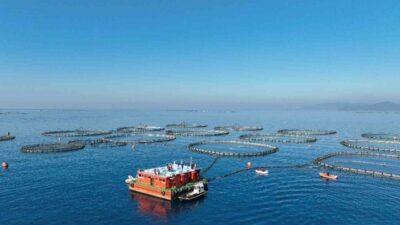 Aydın İl Tarım ve Orman Müdürlüğü, 2024-2026 su ürünleri desteklemeleri