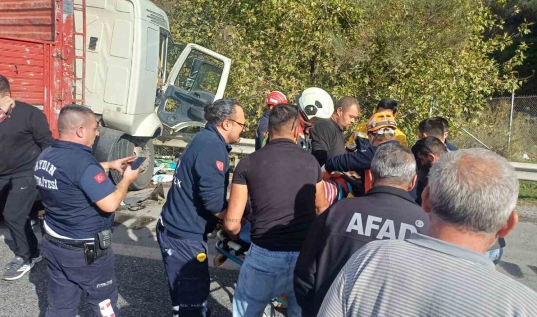 Aydın'ın Germencik ilçesinde M.D.'nin kullandığı TIR, direksiyon hakimiyetini kaybederek demir