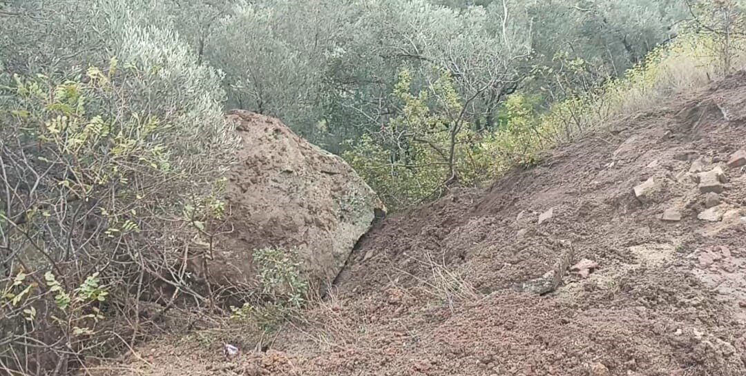 Çanakkale'nin Ayvacık ilçesinde iki gündür süren sağanak yağış, Sazlı köyündeki