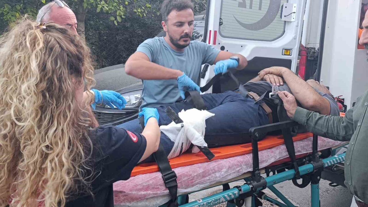 Antalya'nın Manavgat ilçesinde, Osman Kaya 48, evinin bahçesindeki ağaçtan Trabzon