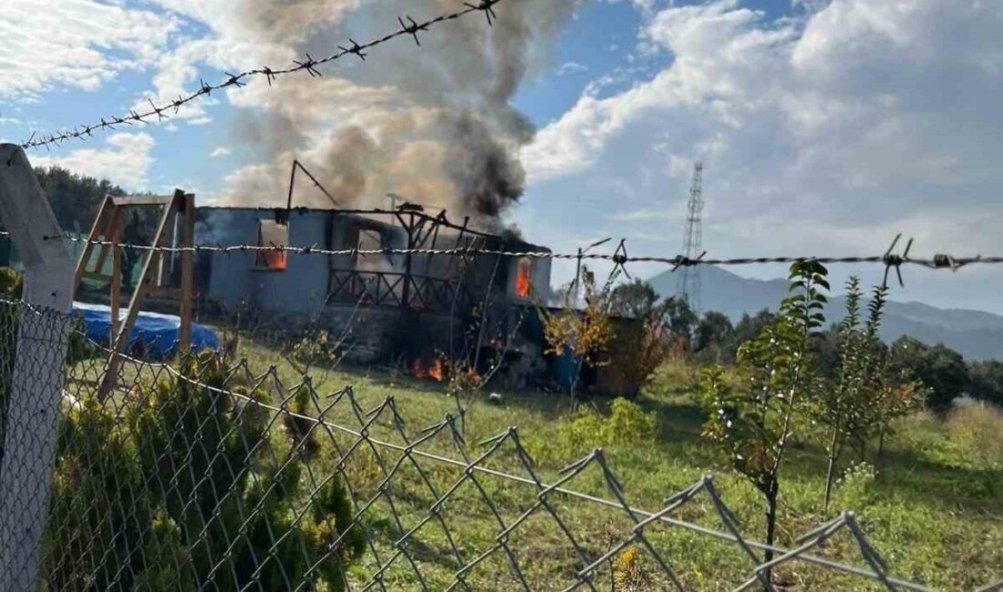 Bilecik’in Osmaneli ilçesindeki Ciciler köyünde bir bağ evinde çıkan yangın