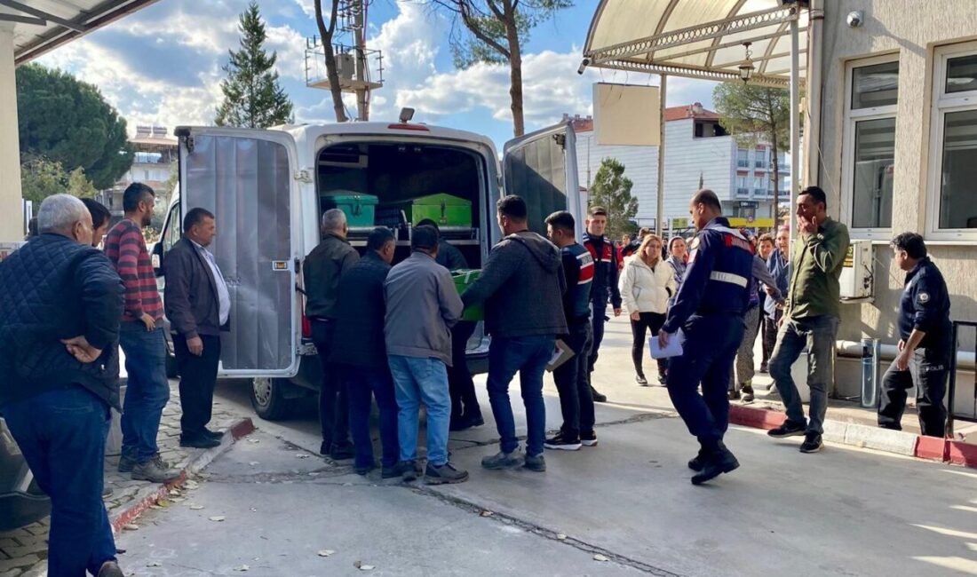 Manisa’nın Sarıgöl ilçesinde üç yaşındaki Emirhan Bağcı, üzüm bağında oyun
