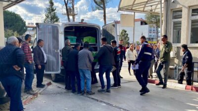 Manisa’nın Sarıgöl ilçesinde üç yaşındaki Emirhan Bağcı, üzüm bağında oyun