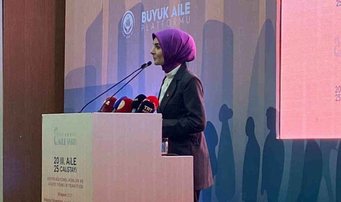 2025 Aile Yılı ile Aileyi Güçlendirme Çabaları Başlıyor Aile ve Sosyal Hizmetler Bakanı Mahinur Özdemir Göktaş, 2025 Aile