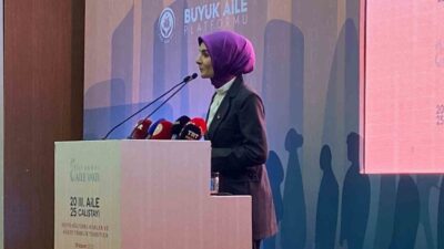 Aile ve Sosyal Hizmetler Bakanı Mahinur Özdemir Göktaş, 2025 Aile