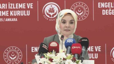 Aile ve Sosyal Hizmetler Bakanı Mahinur Özdemir Göktaş, Engelli Hakları