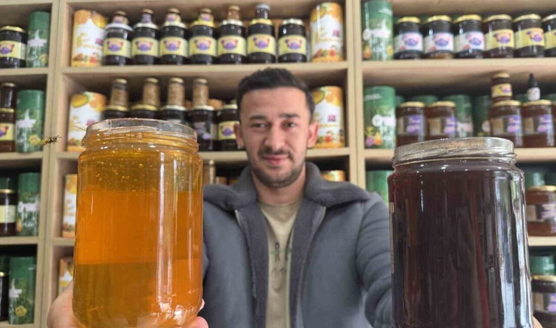 Düzce'de bal üreticisi Yunus Emre Söğüt, sahte bal konusunda uyarılarda