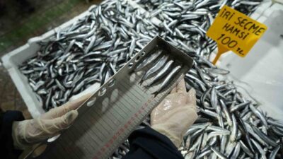 Samsun'da İl Tarım ve Orman Müdürlüğü, balık kaynaklarını korumak için