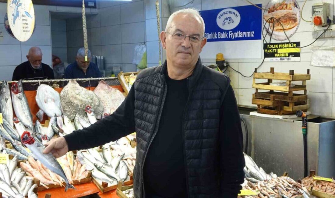 Kocaeli’de balık çeşitliliği artarken, beklenen bolluk henüz sağlanamadı. Balıkçı Kemal