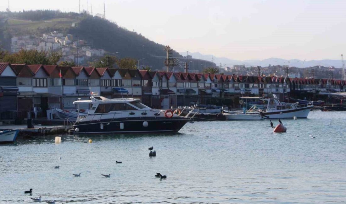 Trabzon'daki balıkçı barınakları, asıl işlevlerinin dışında lüks yaşam alanlarına dönüşerek