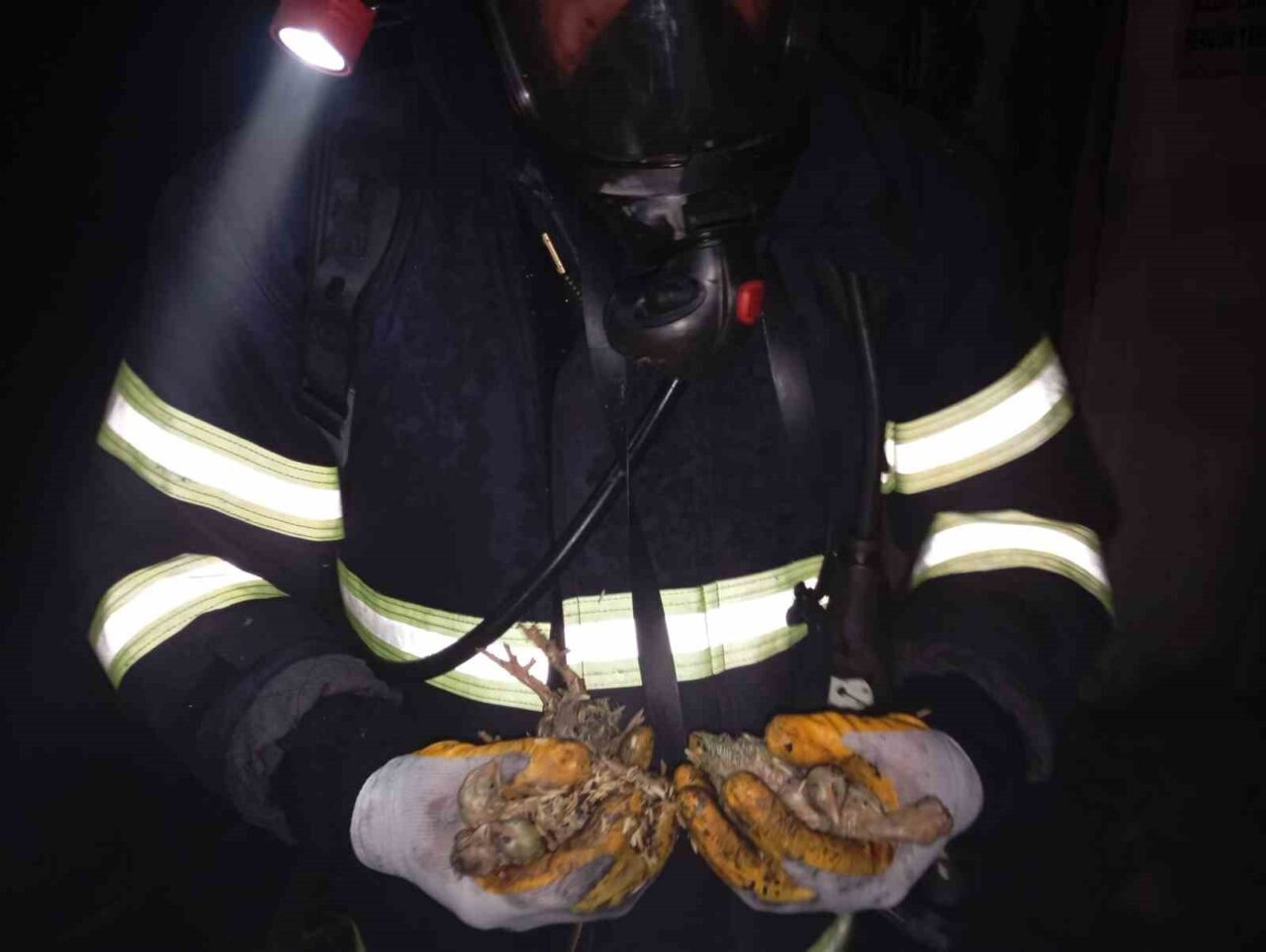 Balıkesir’in Savaştepe ilçesindeki Uğur Soylu’ya ait tavuk çiftliğinde çıkan yangında