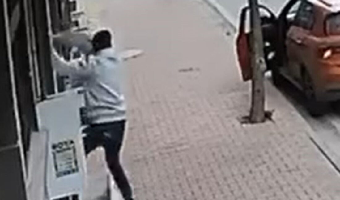 Esenyurt'ta bir adamın, cins kediyi balkondan çaldığı anlar güvenlik kameralarına