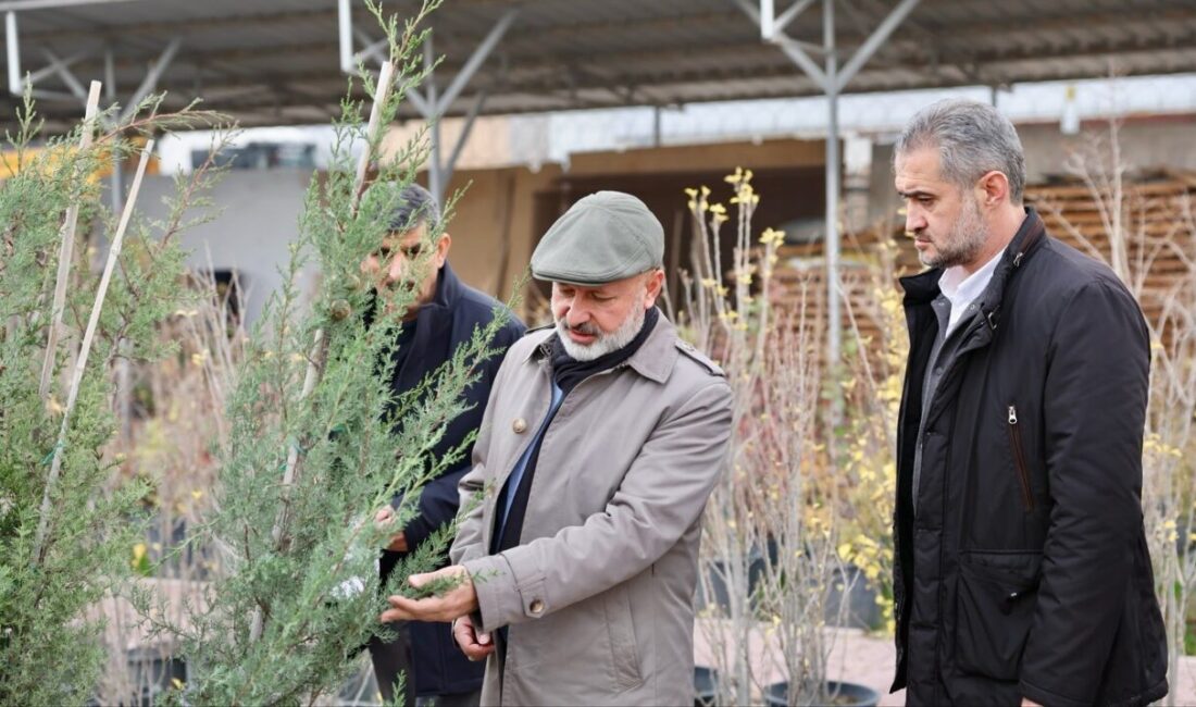 Kocasinan Belediye Başkanı Ahmet Çolakbayrakdar, ilçenin fidanlığında incelemelerde bulunarak 2026