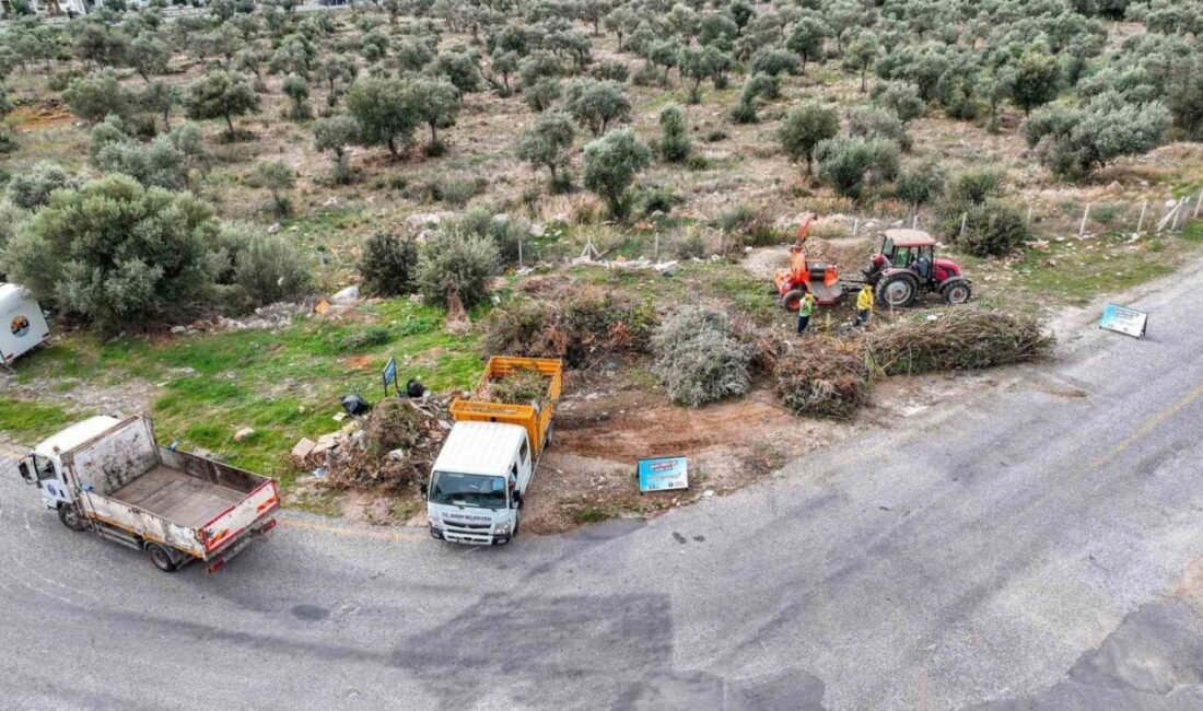 Didim Belediyesi, Akbük Mahallesi'nde temizlik çalışmalarını sürdürüyor. Başkan Hatice Gençay,