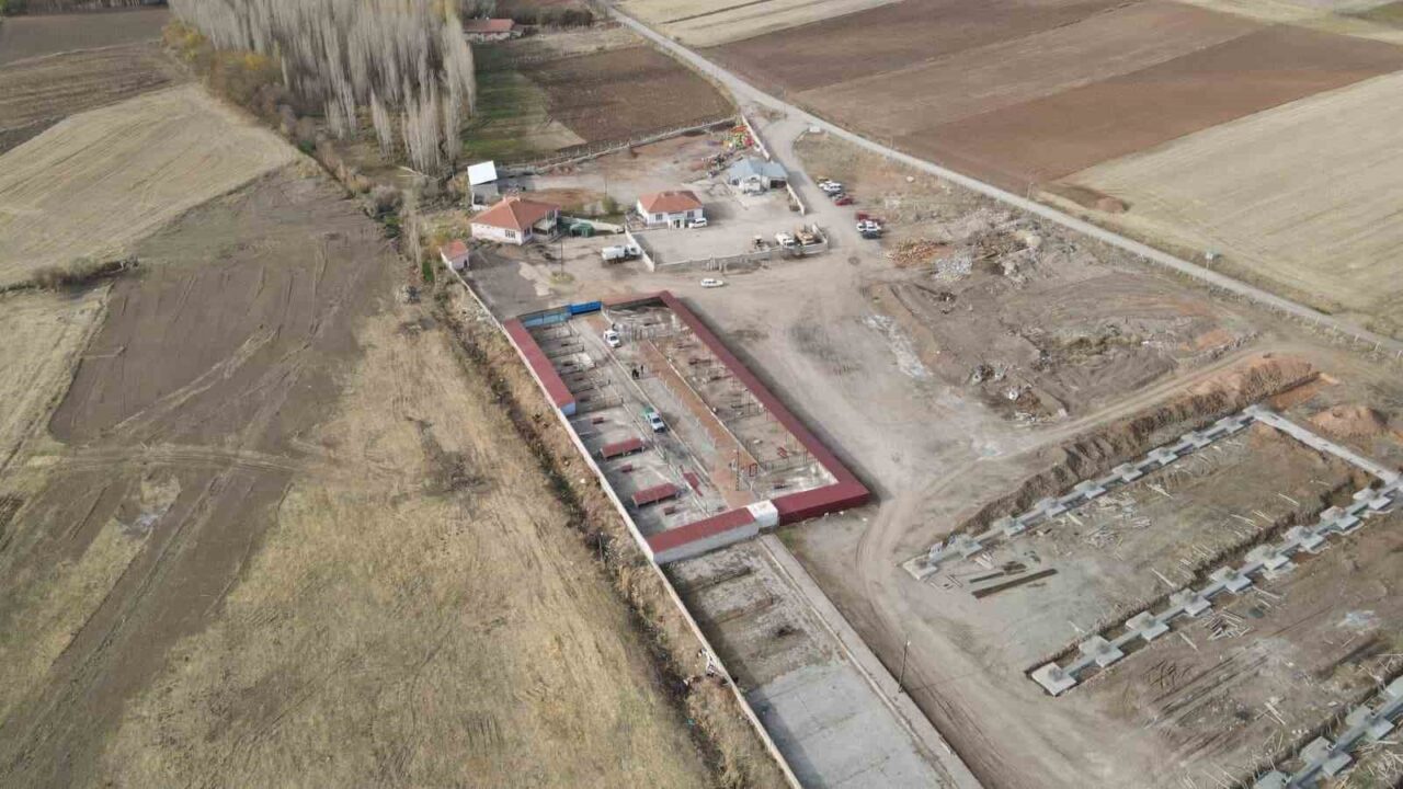 Kayseri'nin Bünyan ilçesinde, hayvanları koruma amacıyla 'Sokak Hayvanları Doğal Yaşam