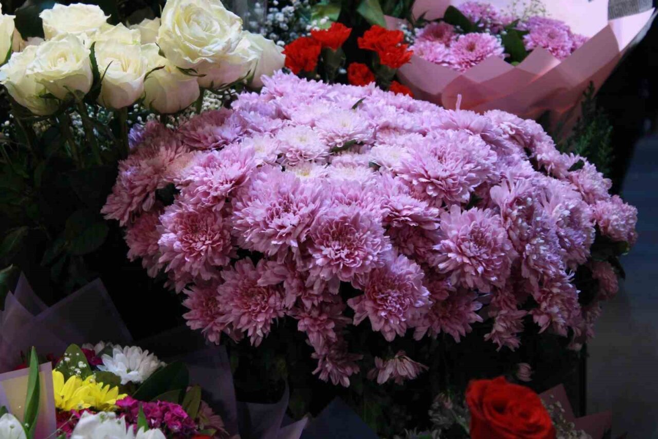 Ankara'nın Çankaya ilçesinde, 24 Kasım Öğretmenler Günü dolayısıyla kasımpatı çiçeği