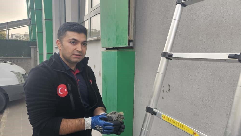 Batman’da Taziye Evi’nde Sıkışan Kuş, İtfaiye Ekiplerinin Başarılı Müdahalesiyle Kurtarıldı Batman'da Pınarbaşı Taziye Evi'nin dışındaki kompozit kolonlara sıkışan bir kuş,
