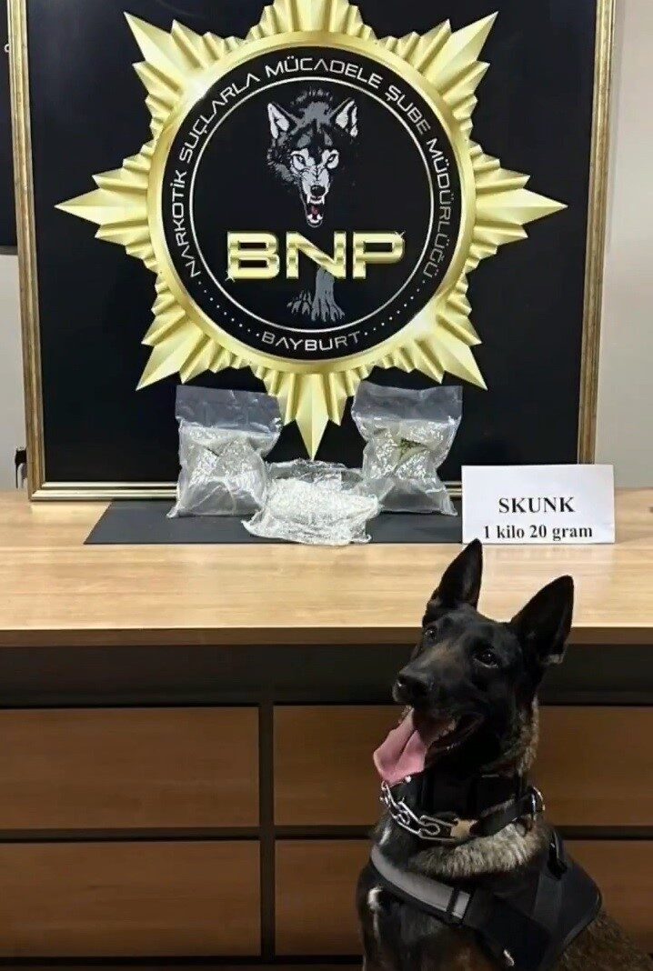 Bayburt’ta Narkotik Operasyonu: 1 Kilogram Uyuşturucu Madde Ele Geçirildi, Bir Kişi Tutuklandı