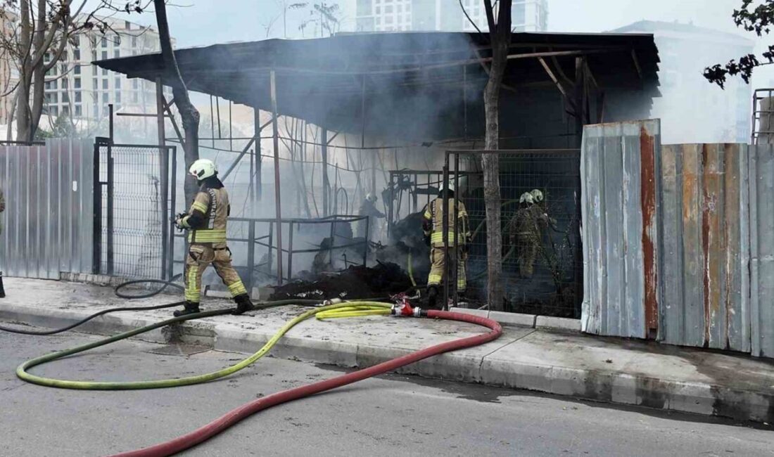 Beylikdüzü’nde Boş Kulübe Yangını, Siyah Duman İle Çevreyi Korkuttu Beylikdüzü'nde boş bir kulübede çıkan yangın sabah saatlerinde paniğe yol