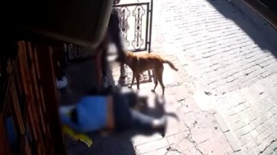 İstanbul Beyoğlu'nda 21 Eylül'de sara nöbeti geçiren Erhan Yavuz'un eşyalarını