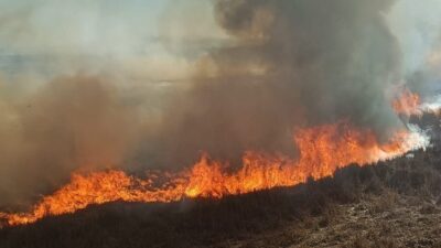 Konya'nın Beyşehir ilçesinde iki ayrı sazlık alanda çıkan yangınlar kontrol