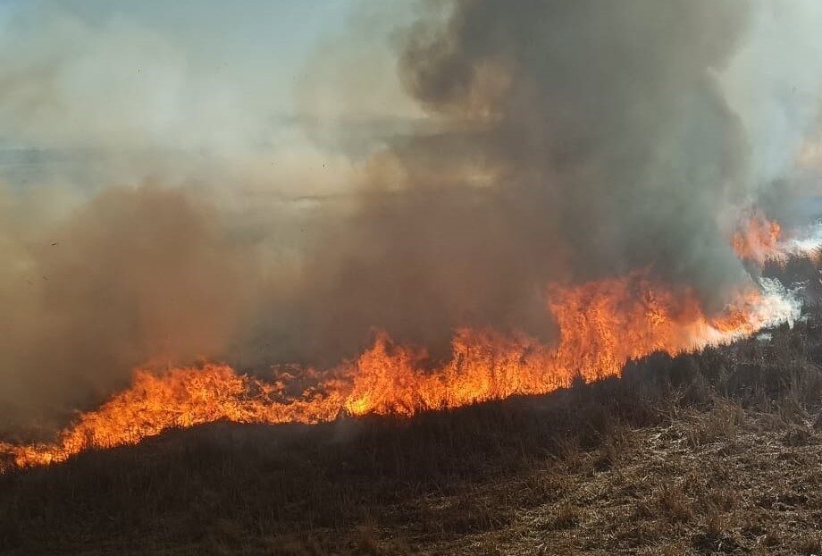 Konya'nın Beyşehir ilçesinde iki ayrı sazlık alanda çıkan yangınlar kontrol
