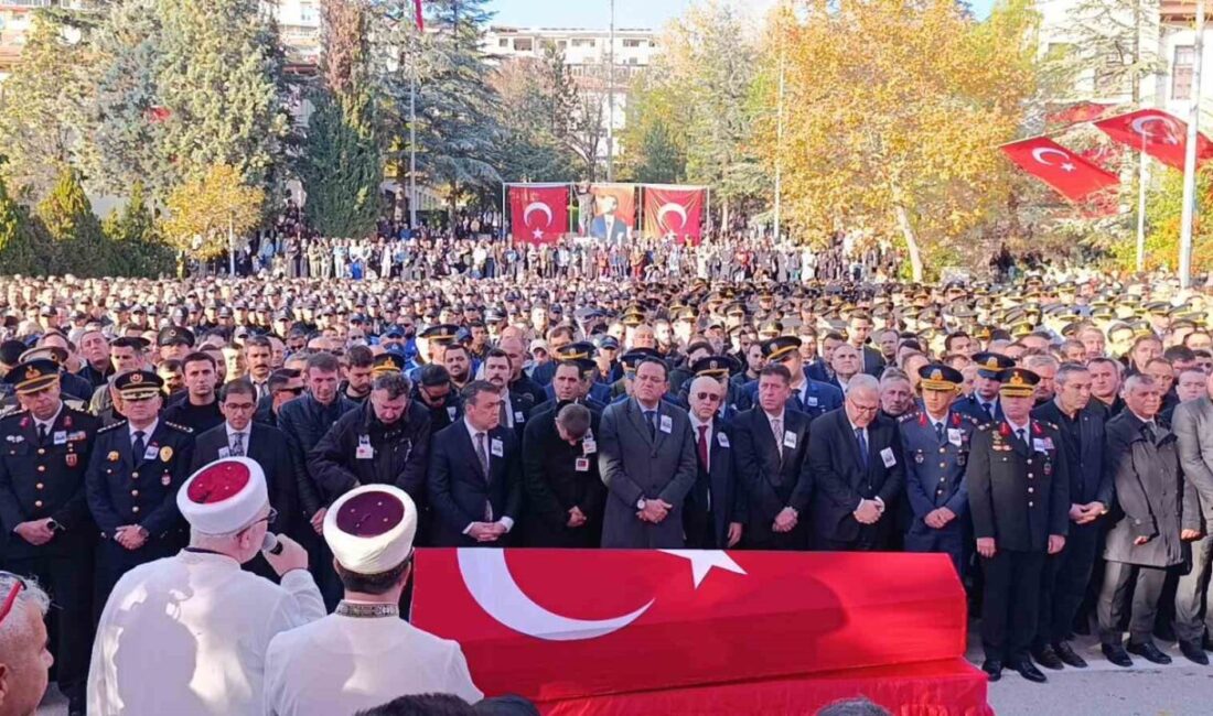 Bilecikli şehit Hava Uçak Bakım Astsubay Üstçavuş İlhan Ongan, Gürcistan'daki